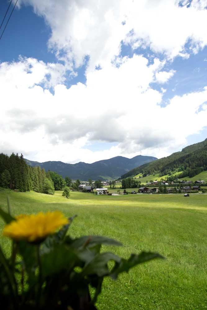 Ferienhaus Asterbach Gosau Exterior photo
